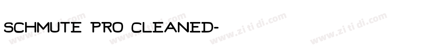 schmute pro cleaned字体转换